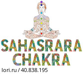 Sahasrara Chakra. Vector zentangle object for decoration. Стоковая иллюстрация, иллюстратор Наталья Андрейченко / Фотобанк Лори