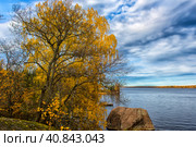 Golden autumn at the Monrepo park, Стоковое фото, фотограф Анна Кривицкая / Фотобанк Лори
