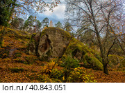 Monrepo park in autumn, Стоковое фото, фотограф Анна Кривицкая / Фотобанк Лори