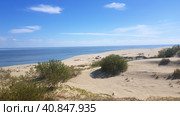 Beautiful Grey Dunes at the Curonian Spit. Стоковое фото, фотограф Анна Кривицкая / Фотобанк Лори