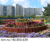 Цветочная клумба. Пронская улица. Район Выхино-Жулебино. Город Москва (2011 год). Редакционное фото, фотограф lana1501 / Фотобанк Лори