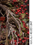 Christmas branches with red berries. Стоковое фото, фотограф Анна Кривицкая / Фотобанк Лори