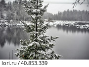 River Canyon and rocks in winter. Стоковое фото, фотограф Анна Кривицкая / Фотобанк Лори