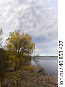 Mon repos is rocky landscape Park on the shore of the Bay of Protective Vyborg Bay, Northern part of city Vyborg in Leningrad region (2017 год). Стоковое фото, фотограф Анна Кривицкая / Фотобанк Лори