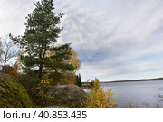 Mon repos is rocky landscape Park on the shore of the Bay of Protective Vyborg Bay, Northern part of city Vyborg in Leningrad region (2017 год). Стоковое фото, фотограф Анна Кривицкая / Фотобанк Лори