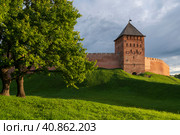 View of the Dvortsovaya Tower of Novgorod Kremlin on sunny summer day, Veliky Novgorod, Novgorod region, Russia. Стоковое фото, фотограф Ula Ulachka / Фотобанк Лори