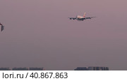 Widebody of Emirates landing (2023 год). Редакционное видео, видеограф Игорь Жоров / Фотобанк Лори