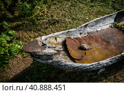 Лодка долблёнка. Стоковое фото, фотограф Илья Старков / Фотобанк Лори