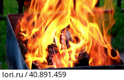 Close up bonfire flames of camping fire, Slow motion. Burning firewood fire. Burning bonfire outdoors. Fire with brickwork on a picnic. Chargrill, grill, brazier. Стоковое видео, видеограф Марина Демидюк / Фотобанк Лори