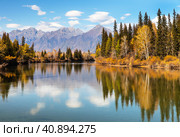 Beautiful autumn landscape with the Eastern Sayan Mountains and yellowed trees on the banks of the Irkut River. Natural seasonal background. Baikal region, Buryatia, Tunka foothill Valley. Стоковое фото, фотограф Виктория Катьянова / Фотобанк Лори