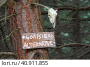 Goat skull and fateful sign in forest. Стоковое фото, фотограф Евгений Дробитько / Фотобанк Лори