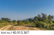A dirt safari road winds through the jungle. The ruts are visible. There is green grass, trees, bushes on the roadsides. A mountain against a blue sky. Copy space. India. Sariska National Park. Стоковое фото, фотограф Вера Ивановна Кубарева / Фотобанк Лори