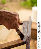 The process of varnishing with a brush to protect the wood from external influences of the wooden part of the chair. Restoration of old furniture. Стоковое фото, фотограф Александр Кротков / Фотобанк Лори