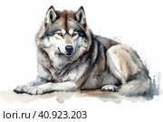 Malamute portrait on white background. Стоковое AI-изображение, AI-художник Анна Кривицкая / Фотобанк Лори