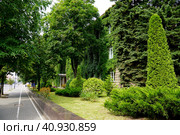 Здание университета Янки Купалы в Гродно (2023 год). Стоковое фото, фотограф Максим Соколов / Фотобанк Лори