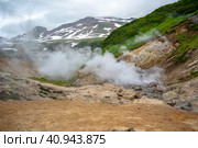 Долина гейзеров. Камчатка. Россия июль 2023. Стоковое фото, фотограф Владимир Макеев / Фотобанк Лори