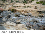 Долина гейзеров. Камчатка. Россия июль 2023. Стоковое фото, фотограф Владимир Макеев / Фотобанк Лори