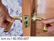Repair of rotary mechanism of push lever type door handle for interior doors. Стоковое фото, фотограф Владимир Григорьев / Фотобанк Лори