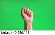 Female Hand with Beige Manicure making Rise Up Sign Symbol with her Fist. Chroma key Green Screen Background. Gestures Movements. Body Language. 4K Footage. Close Up. Raised hand with clenched fist. Стоковое видео, видеограф Марина Демидюк / Фотобанк Лори