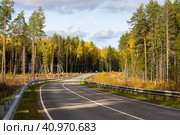 Двухполосная автомобильная дорога идёт через живописный осенний лес. Стоковое фото, фотограф Margo Ladygina / Фотобанк Лори