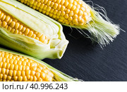 Три спелых початка кукурузы на фоне черной каменной доски, крупный план. Стоковое фото, фотограф E. O. / Фотобанк Лори