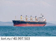 Грузовое судно в проливе Босфор (2019 год). Редакционное фото, фотограф Свитич Олег / Фотобанк Лори