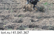 Powerful cultivator, Tiller. Gardening. Spring work on the farm. Land cultivation with a Motor ripper. Man plows the ground. Spring soil preparation for seeding. Husbandman, grower. Moto plow working. Стоковое видео, видеограф Марина Демидюк / Фотобанк Лори