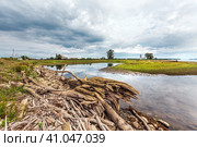 Река Обь с топляком-коряжником у береговой кромки дамбы. Село Чингис, Ордынский район Новосибирской области. Западная Сибирь России (2021 год). Стоковое фото, фотограф Евгений Мухортов / Фотобанк Лори
