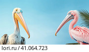 A beautiful white pelican on a blue background. A symbol of mentoring and education. Created by AI. Стоковое AI-изображение, AI-художник Ярославский Максим / Фотобанк Лори