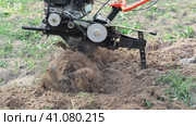 Powerful cultivator, Tiller. Gardening. Spring work on the farm. Land cultivation with a Motor ripper. Man plows the ground. Spring soil preparation for seeding. Husbandman, grower. Moto plow working. Стоковое видео, видеограф Марина Демидюк / Фотобанк Лори