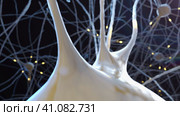 Flying backwards through nervous system between nerves and nerve synapses. Стоковое видео, видеограф Олег Грач / Фотобанк Лори