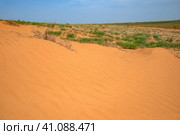 Полупустыня. Республика Калмыкия, Россия (2023 год). Стоковое фото, фотограф Анна Карасева / Фотобанк Лори