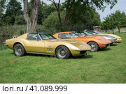 DIEDERSDORF, GERMANY - AUGUST 30, 2020: The various sports cars Chevrolet Corvette stand in a row. The exhibition of "US Car Classics". Редакционное фото, фотограф Sergey Kohl / Фотобанк Лори