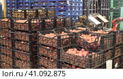 Potatoes in crates stacked in vegetable warehouse. Стоковое видео, видеограф Яков Филимонов / Фотобанк Лори