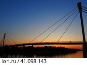 Pedestrian Bridge of the Saint Irinej over Sava river. Longest Pedestrian-Cycling Bridge in Europe Located Between Sremska Mitrovica and Macvanska Mitrovica. Twin towns on the opposite coasts. Sundown. Стоковое фото, фотограф Юлия Петровская / Фотобанк Лори