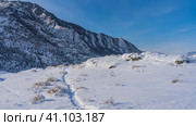 A well-trodden path winds through a valley between snowdrifts. Frosted dry grass on the roadsides. A picturesque mountain range against the blue sky. Altai. Стоковое фото, фотограф Вера Ивановна Кубарева / Фотобанк Лори