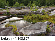 Беломорские петроглифы. Залавруга. Карелия. (2023 год). Редакционное фото, фотограф Роман Рожков / Фотобанк Лори
