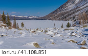 The frozen lake is surrounded by mountains. Smooth clean snow on the surface. Coniferous trees, cobblestones on the shore. The path is trampled through snowdrifts. Blue sky. Altai. Multinskoye Lake. Стоковое фото, фотограф Вера Ивановна Кубарева / Фотобанк Лори