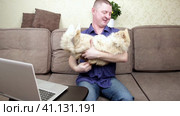 A man blogs about pets with his big fluffy cat. Стоковое видео, видеограф Сергей Сергеев / Фотобанк Лори