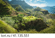 Amazing view of high mountains covered with lush green vegetation. Picturesque banana and sugarcane plantations on the trekking trail to Coculli Santo Antao Cape Verde. Стоковое фото, фотограф Igor Tichonow / Фотобанк Лори