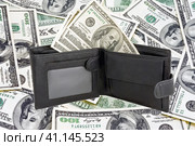 Раскрытый кошелек с американскими долларами на белом фоне. Wallet with dollars isolated on white background. Стоковое фото, фотограф Татьяна Д / Фотобанк Лори
