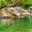 Small park lake with swans tourists on the shore of the lake (2020 год). Редакционное фото, фотограф Владимир Ушаров / Фотобанк Лори