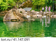 Small park lake with swans tourists on the shore of the lake (2020 год). Редакционное фото, фотограф Владимир Ушаров / Фотобанк Лори