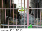 Lattices with lock in a closed passage in the fortress. Стоковое фото, фотограф Леонид Еремейчук / Фотобанк Лори