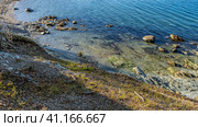 The stones are scattered in the coastal area of the lake. The bottom is visible through the clear blue water. Pebbles and broken branches on the hillside. Argentina. Tierra del Fuego. Ensenada Bay. (2023 год). Стоковое фото, фотограф Вера Ивановна Кубарева / Фотобанк Лори