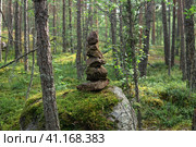 Small cairn, a pyramid of stones in a coniferous forest. Стоковое фото, фотограф Евгений Харитонов / Фотобанк Лори