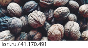 Walnuts close-up. Harvest of nuts. Walnut fruits, rounded large single single-seeded drupes. A healthy diet that includes glycerides of linoleic, oleic, stearic, palmitic and linolenic acids. Стоковое фото, фотограф Юлия Петровская / Фотобанк Лори