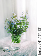 Bouquet of forget-Me-not in a transparent glass vase. Стоковое фото, фотограф Оксана Медведева / Фотобанк Лори
