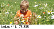 Sremska Mitrovica, Serbia. June 30, 2020, a happy boy with blond hair sits on the lawn and sniffs wildflowers. The child looks down and smiles. Daisies, yarrows and green grass grow on the field. Стоковое фото, фотограф Юлия Петровская / Фотобанк Лори