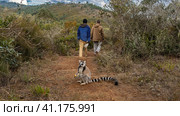 Two people are walking along a dirt path. Thickets of green vegetation on the roadsides, mountains ahead. In the foreground sits a catta lemur with a long striped tail, eating a banana. Madagascar. (2023 год). Стоковое фото, фотограф Вера Ивановна Кубарева / Фотобанк Лори
